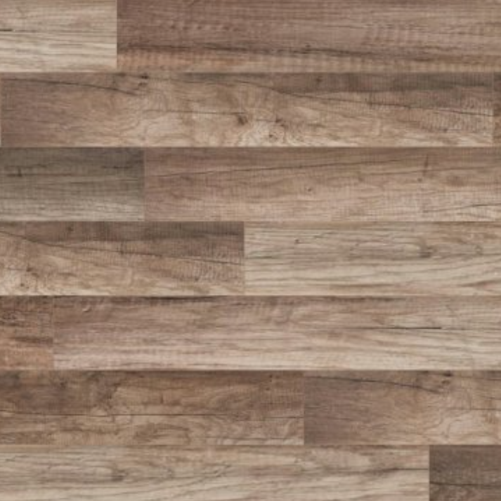 Edmonton Oak by Classen