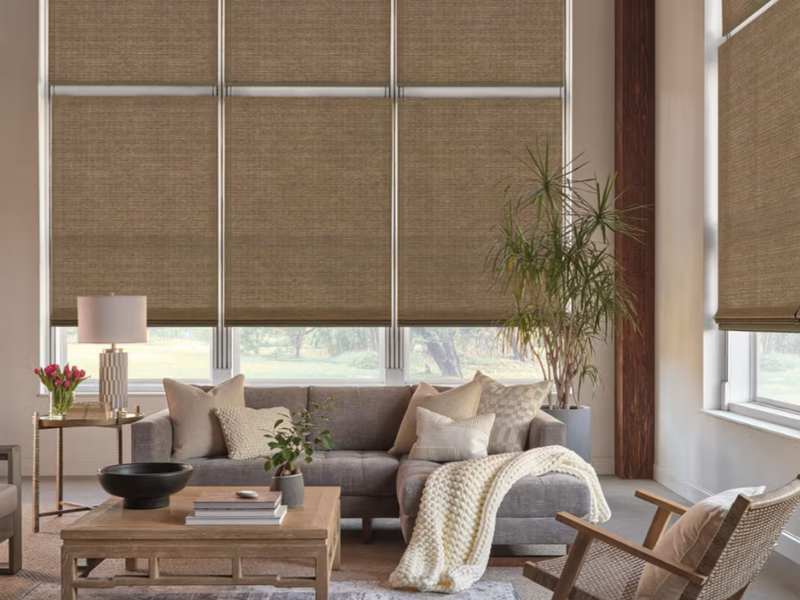Provenance Woven Wood Shades for a living room